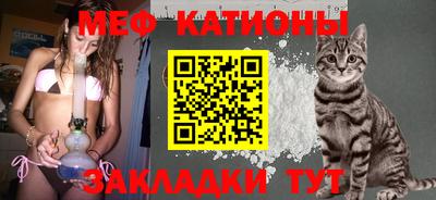 прущие грибы Вязники