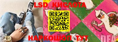 прущие грибы Вязники