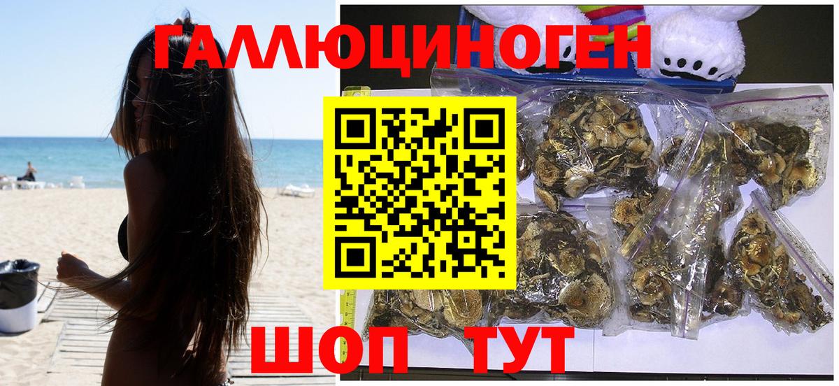 Псилоцибиновые грибы Psilocybine cubensis Курск